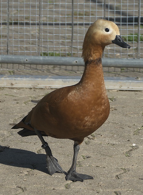 也讓我們看