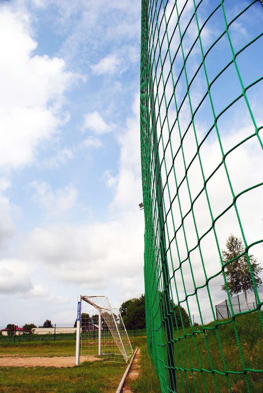 他们的食堂 他们的食堂