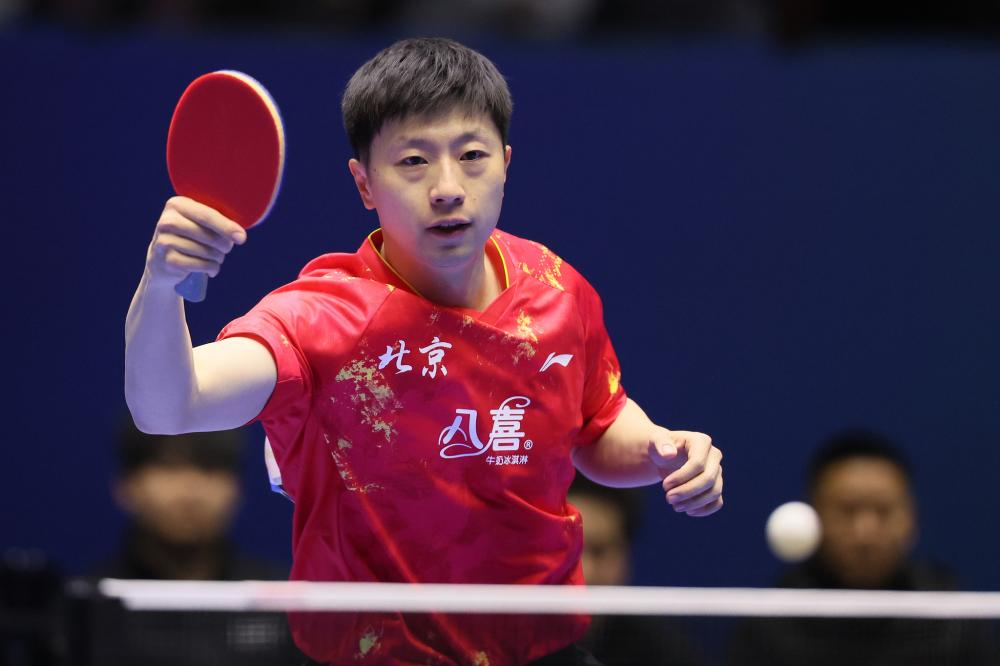 鲜的娱乐圈 鲜的娱乐圈