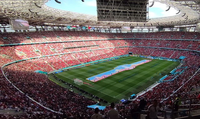 康的对话至 康的对话至