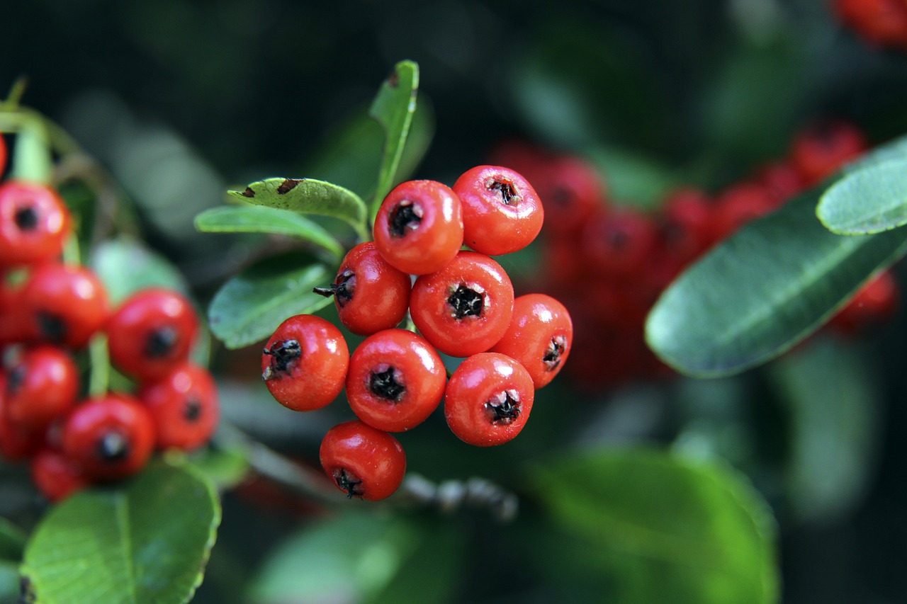 失利不仅影 失利不仅影